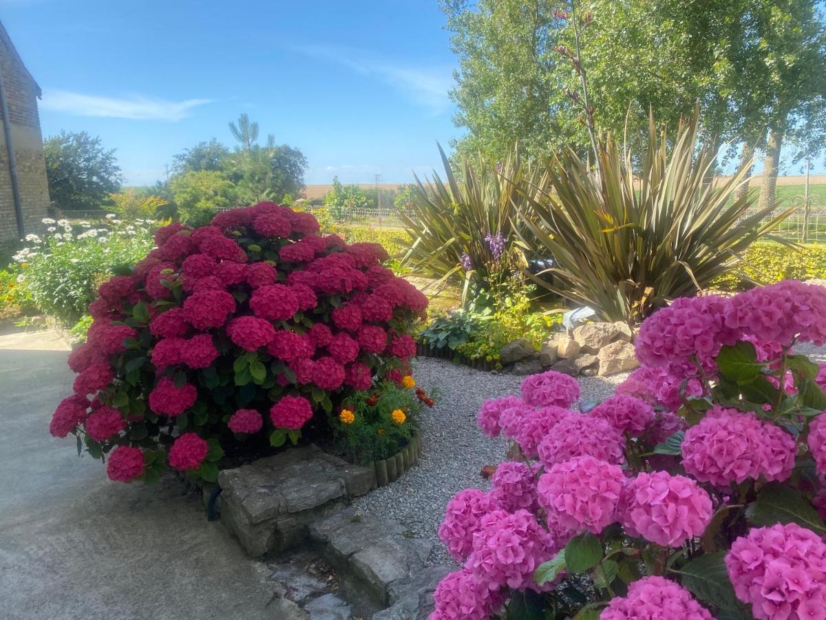Ferme "Les Flaquettes" Bed & Breakfast Guines Exterior photo